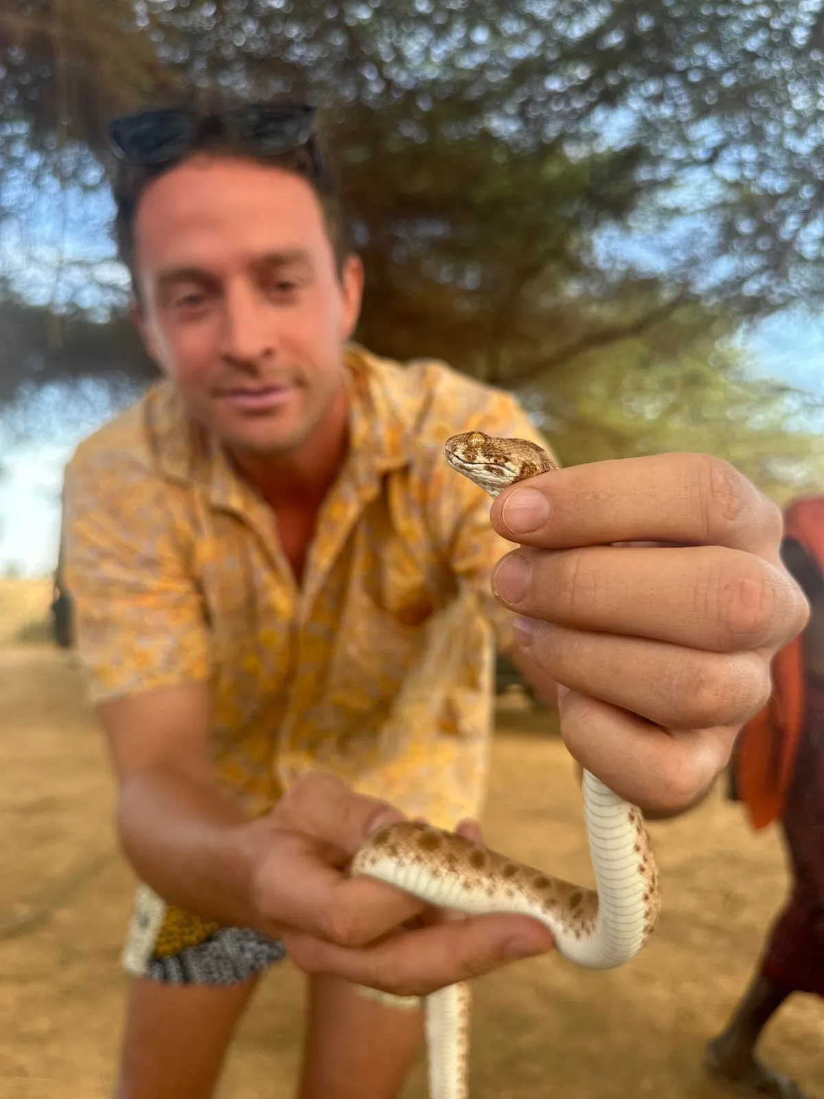 Tested against the world's most medically significant snakes